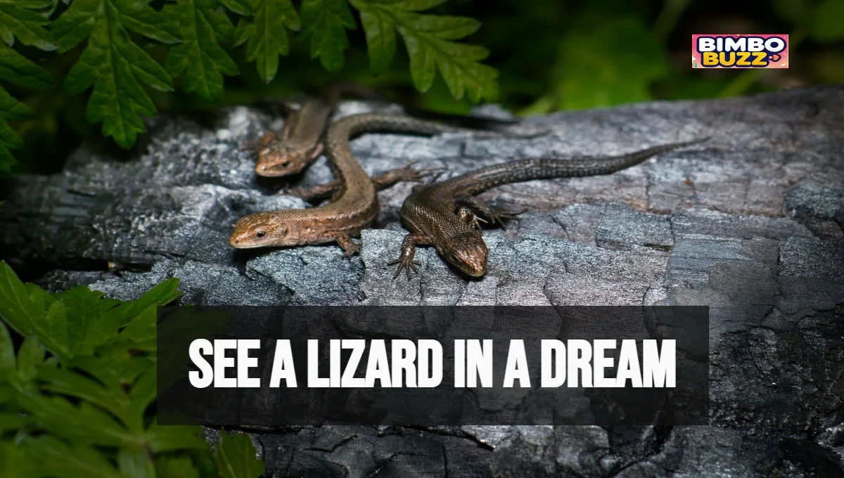 What Does It Mean to See a Lizard in a Dream? What Does It Mean to See a Lizard in a Dream?