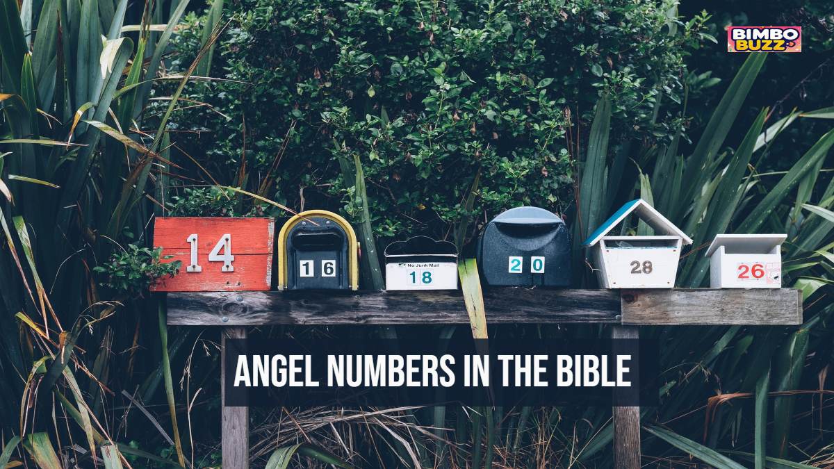 Angel Numbers in the Bible: A Beginner’s Guide to Spiritual Number Sequences Angel Numbers in the Bible